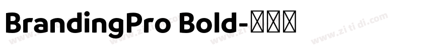 BrandingPro Bold字体转换